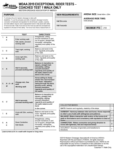 2019 WDAA Exceptional Rider Tests Judges Insert