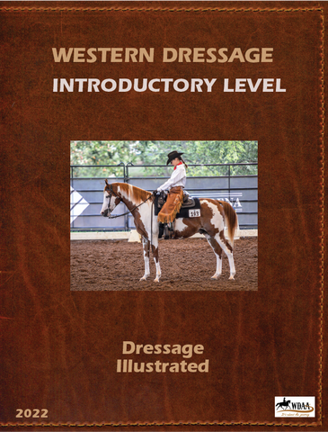 2022 WDAA Introductory Level