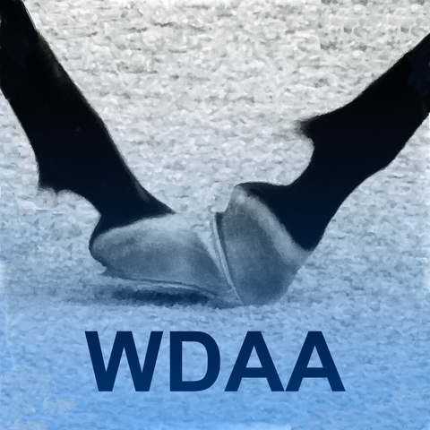 2022 WDAA Judges Diagrams iPad App